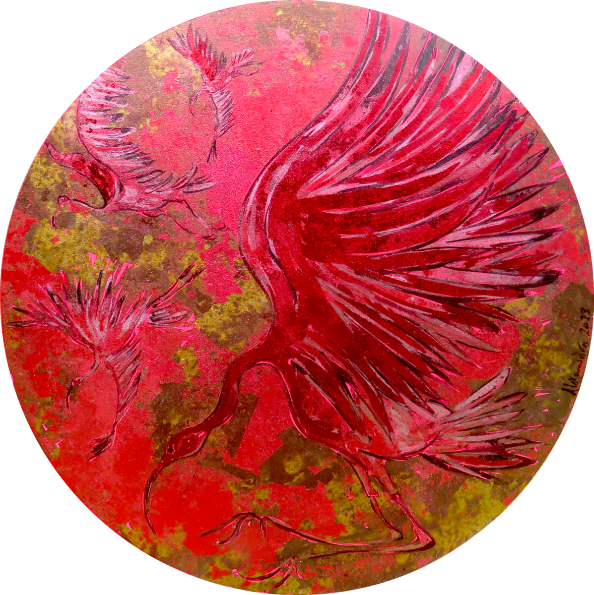 Scarlet IBIS